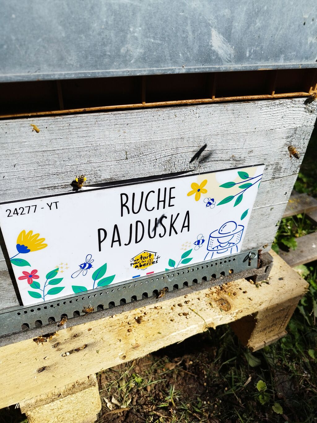 La ruche Pajduska