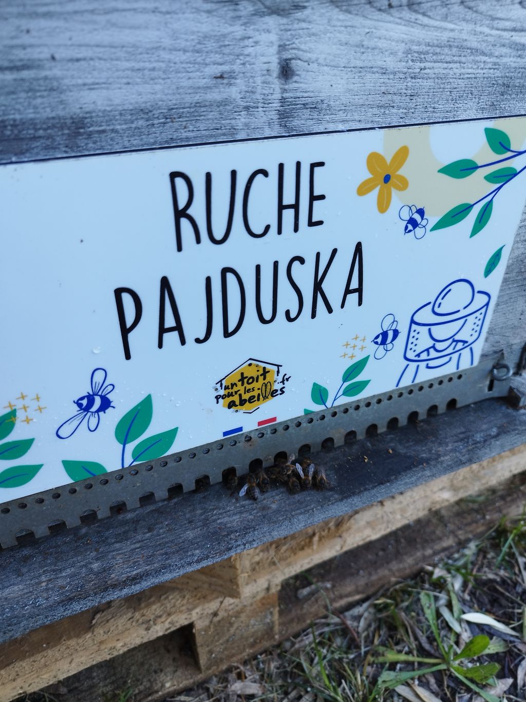 La ruche Pajduska