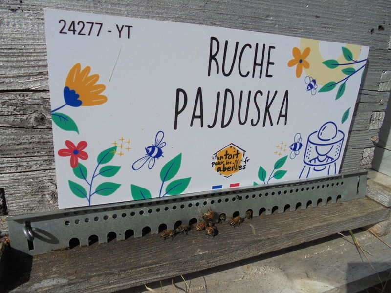 La ruche Pajduska
