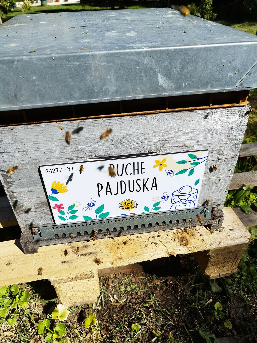 La ruche Pajduska