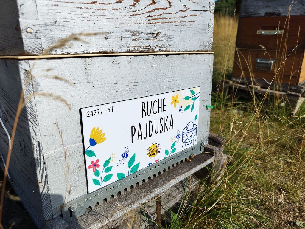 La ruche Pajduska