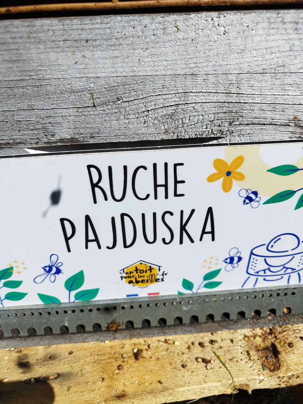 La ruche Pajduska