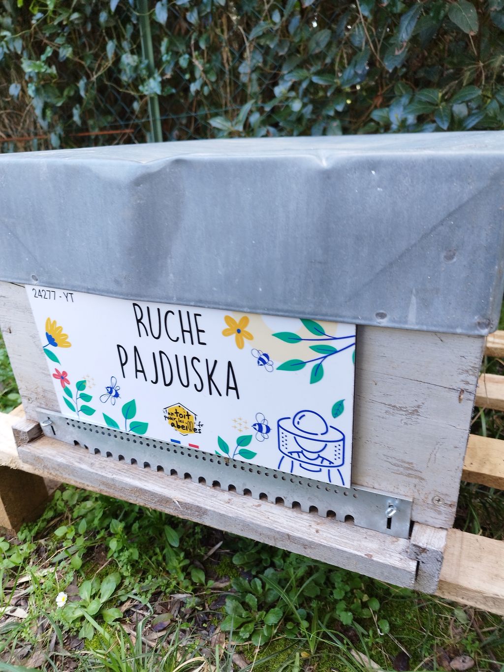 La ruche Pajduska
