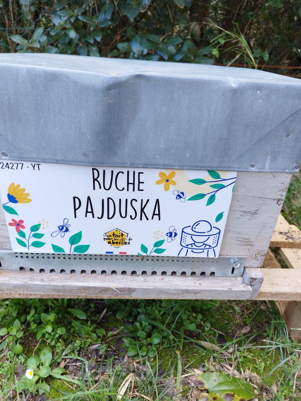 La ruche Pajduska