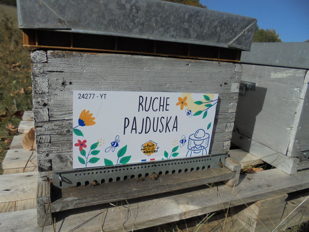 La ruche Pajduska