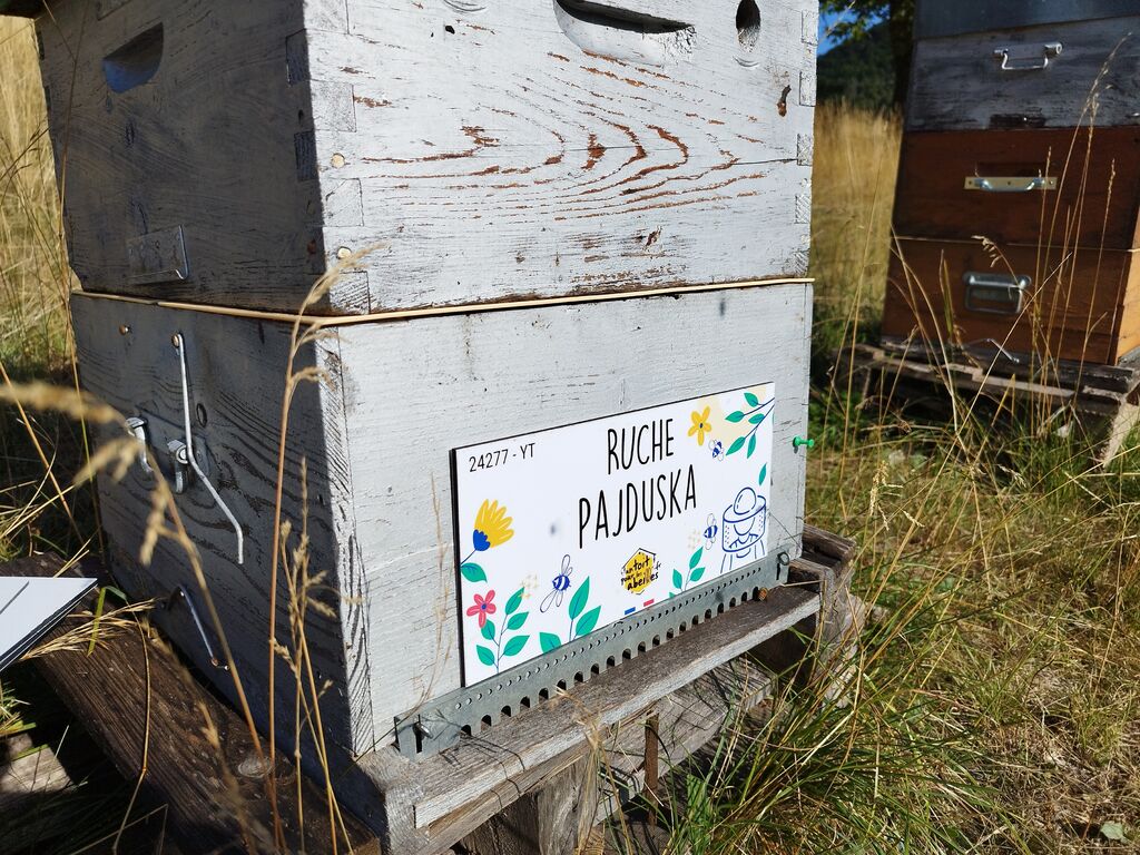 La ruche Pajduska