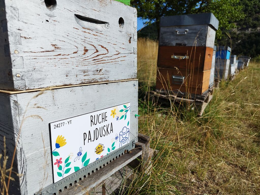 La ruche Pajduska