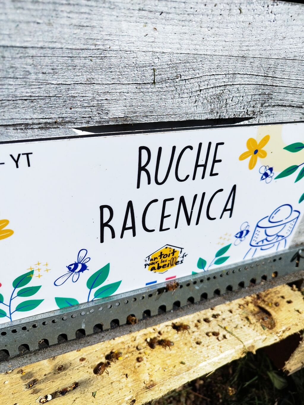 La ruche Racenica
