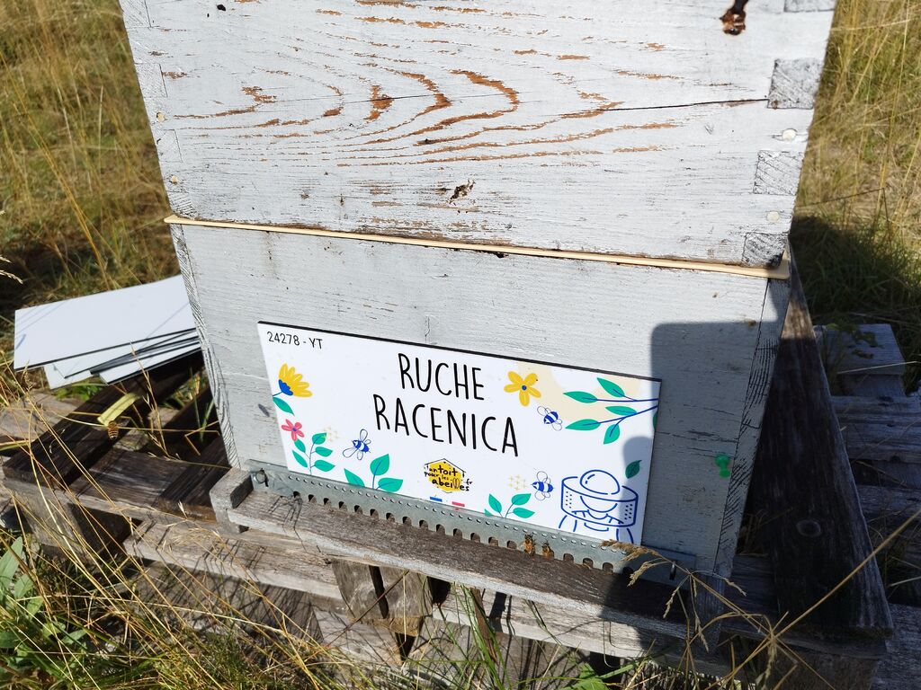 La ruche Racenica