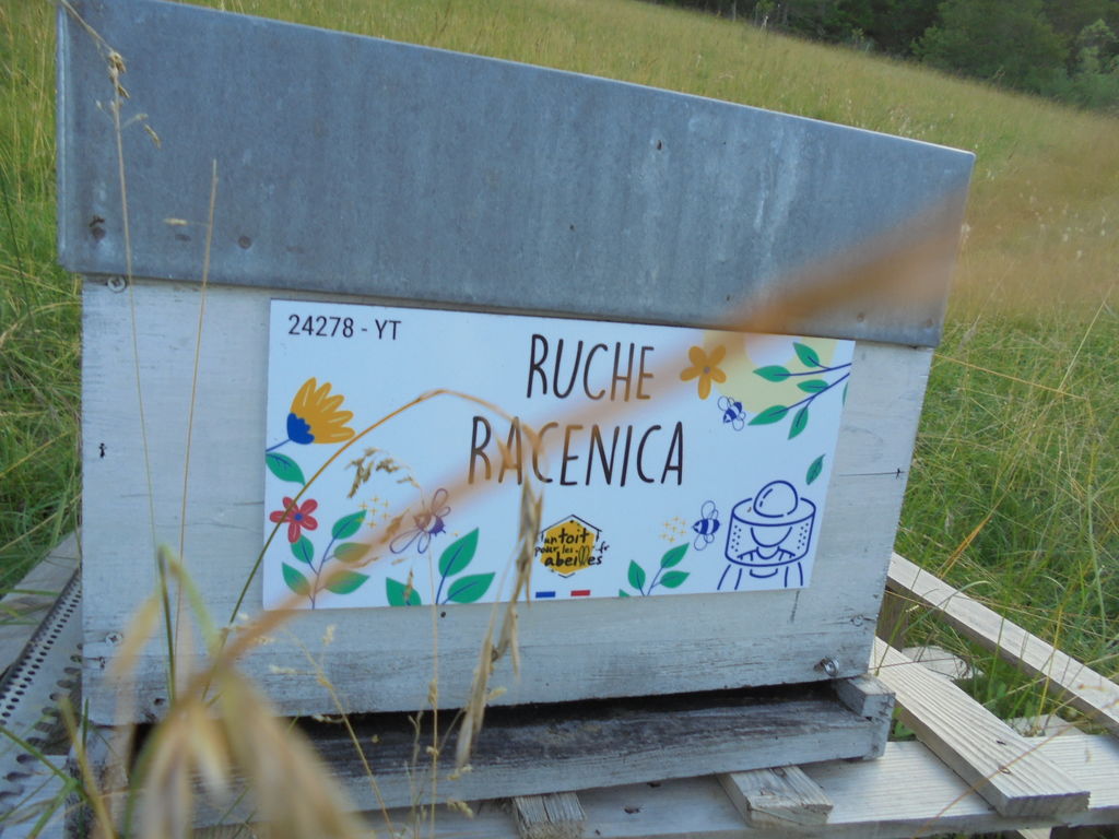 La ruche Racenica