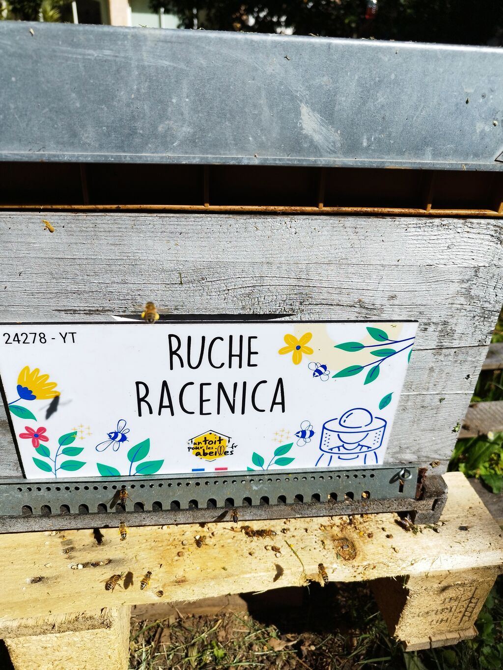 La ruche Racenica