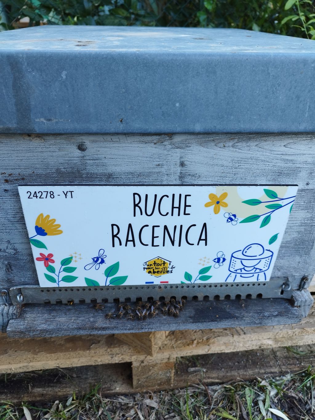 La ruche Racenica