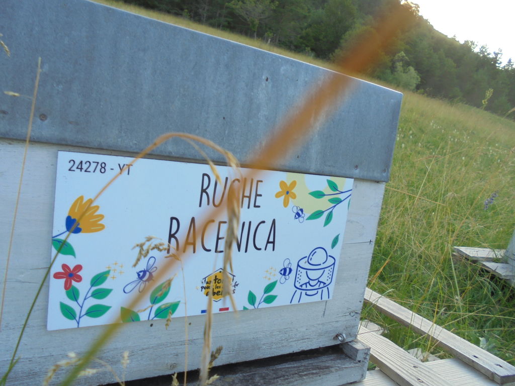 La ruche Racenica