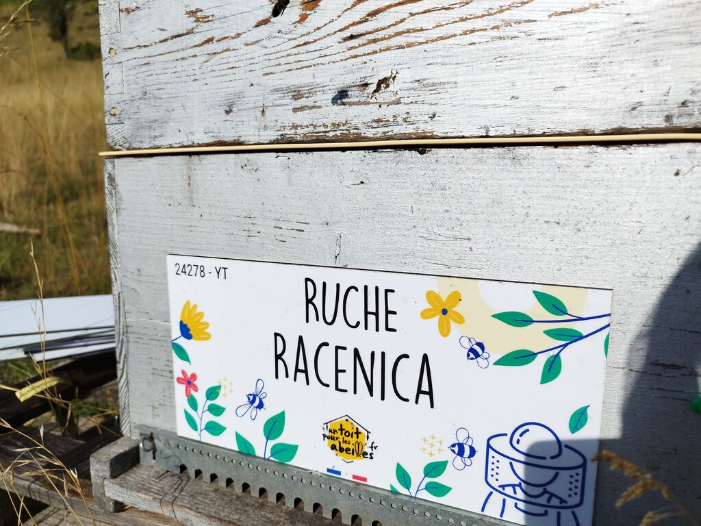 La ruche Racenica