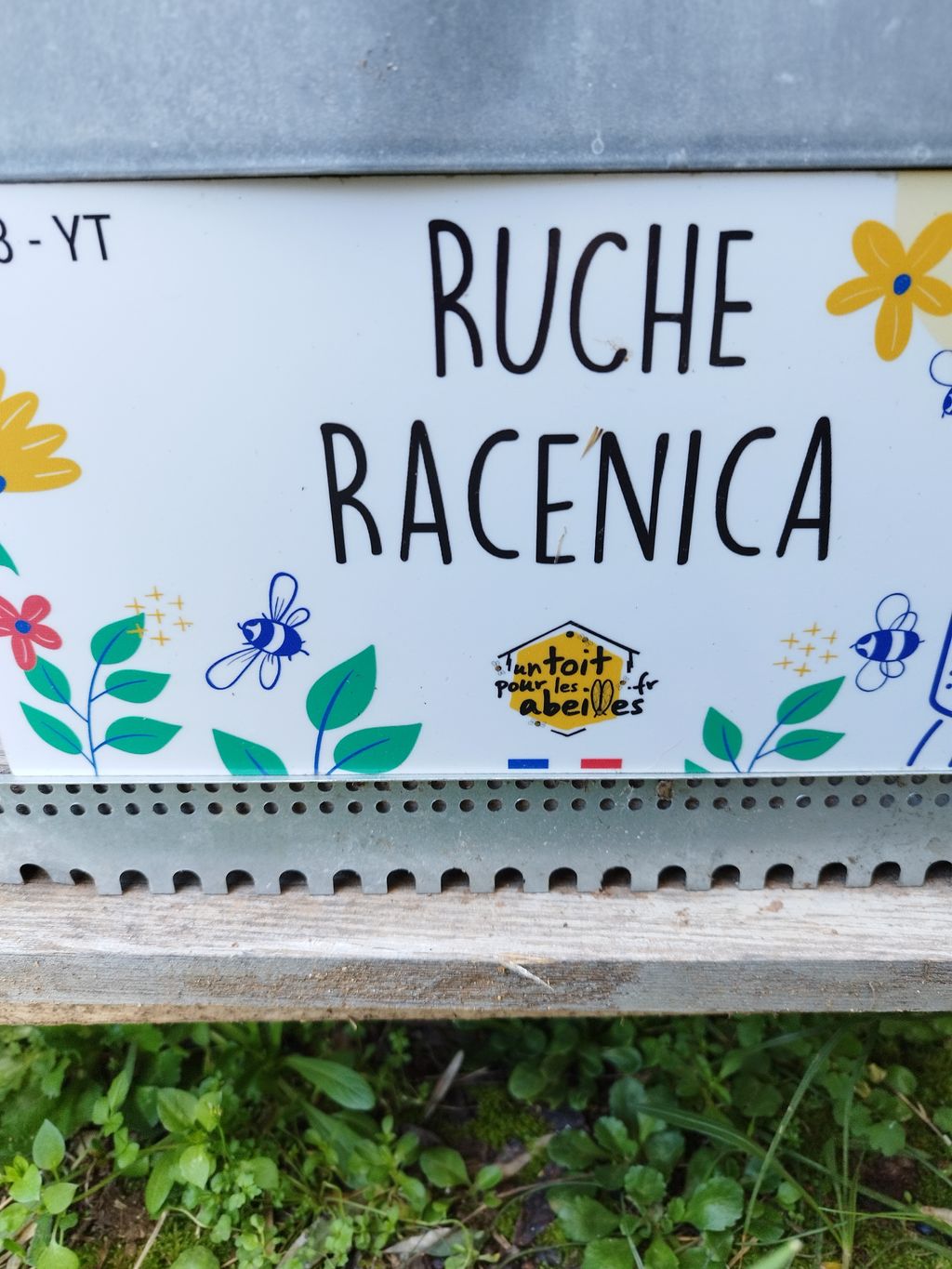 La ruche Racenica