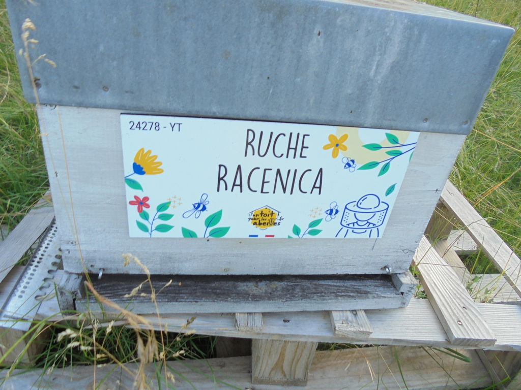 La ruche Racenica