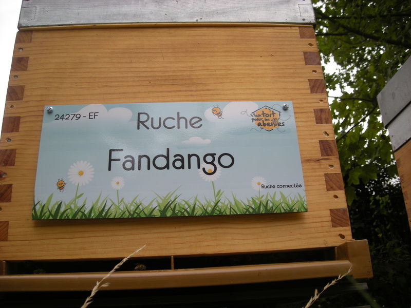 La ruche Fandango