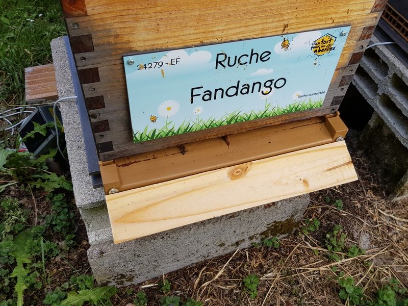 La ruche Fandango