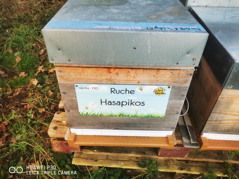 La ruche Hasapikos