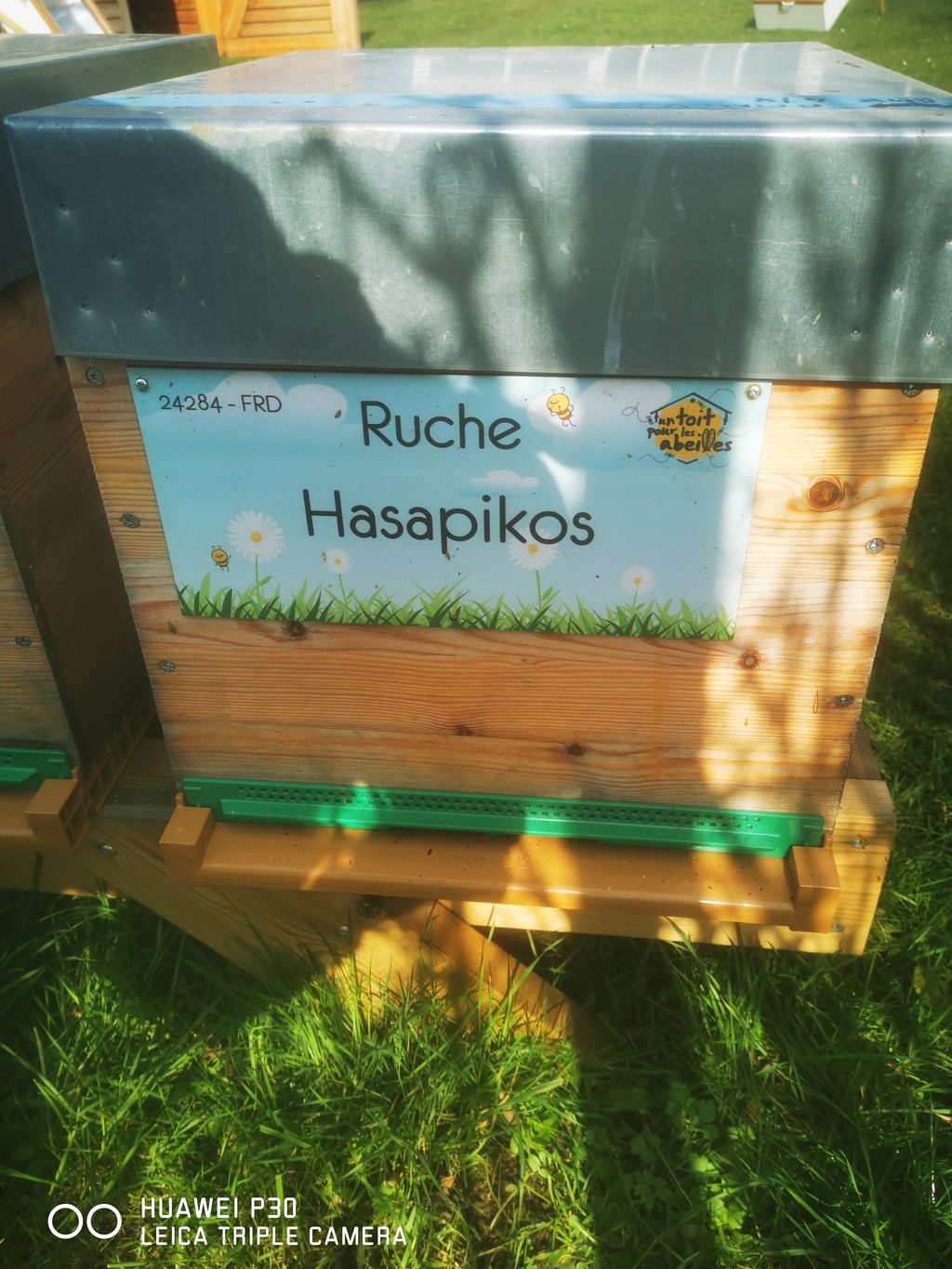 La ruche Hasapikos