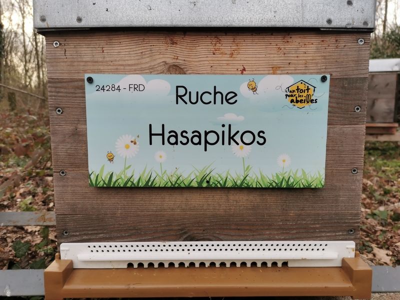 La ruche