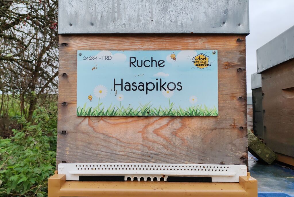 La ruche Hasapikos