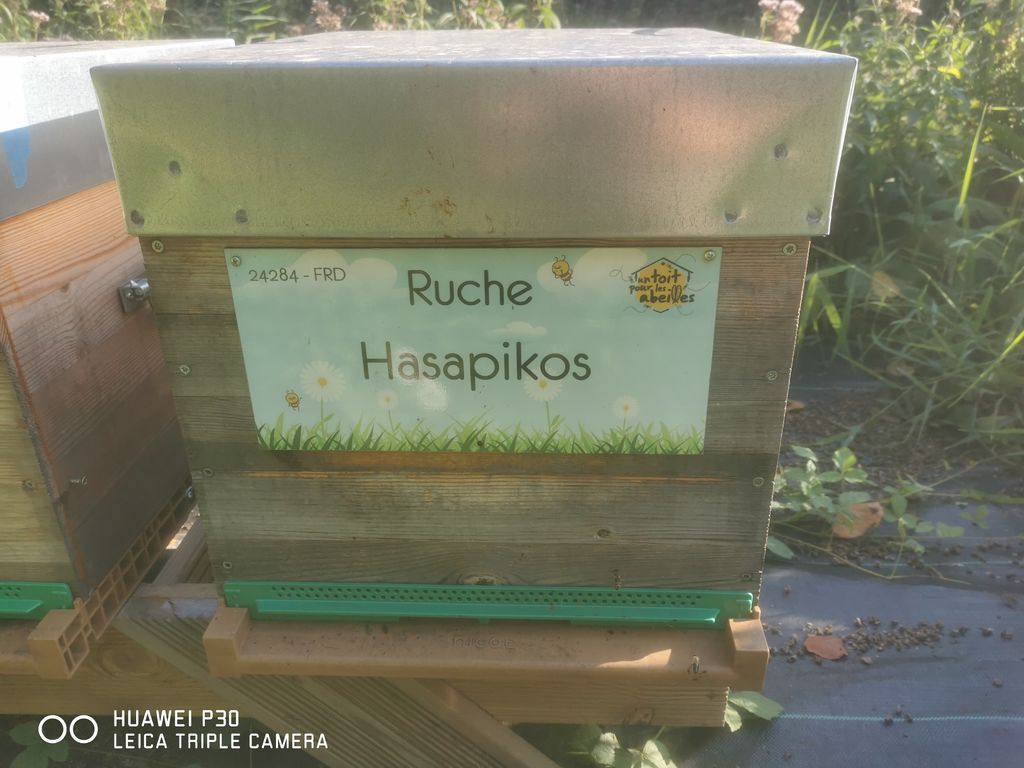 La ruche Hasapikos