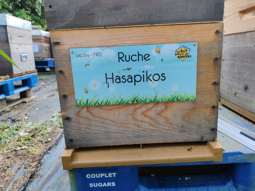 La ruche Hasapikos