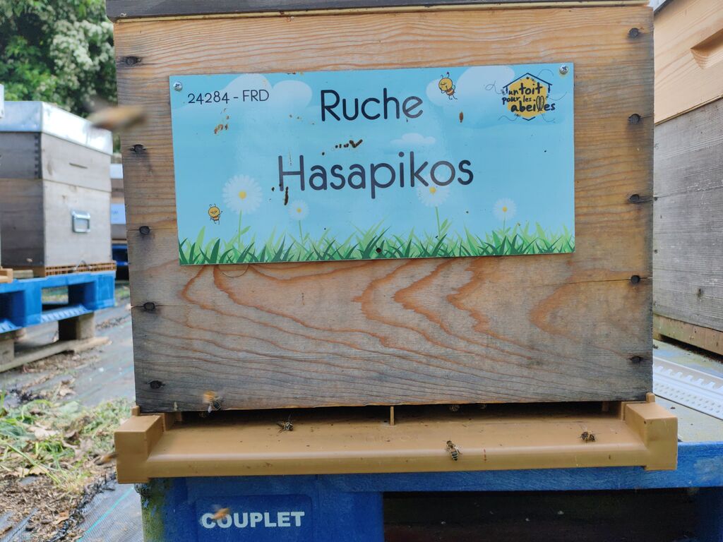 La ruche Hasapikos