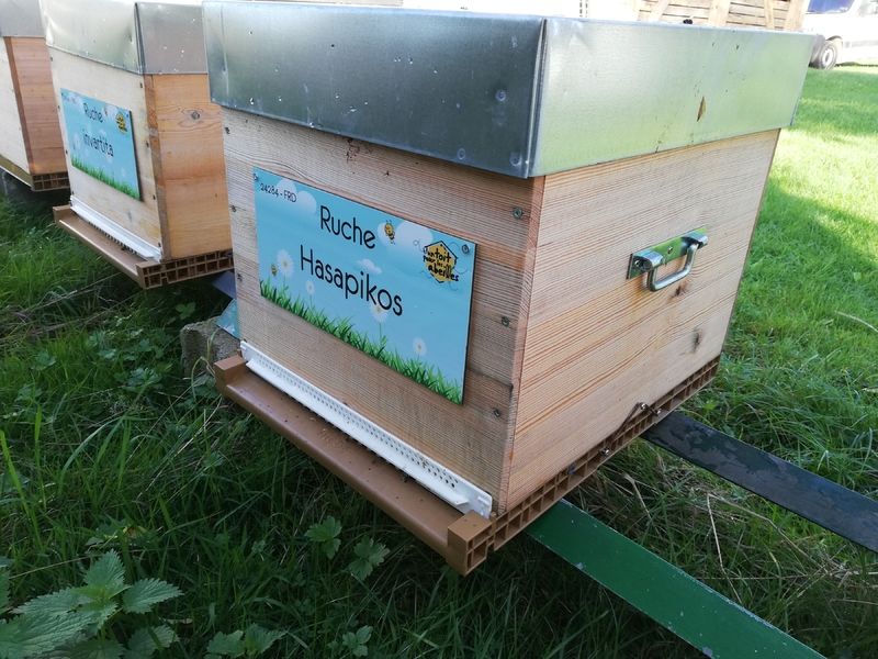 La ruche Hasapikos