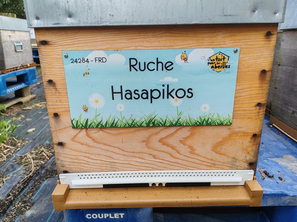 La ruche Hasapikos