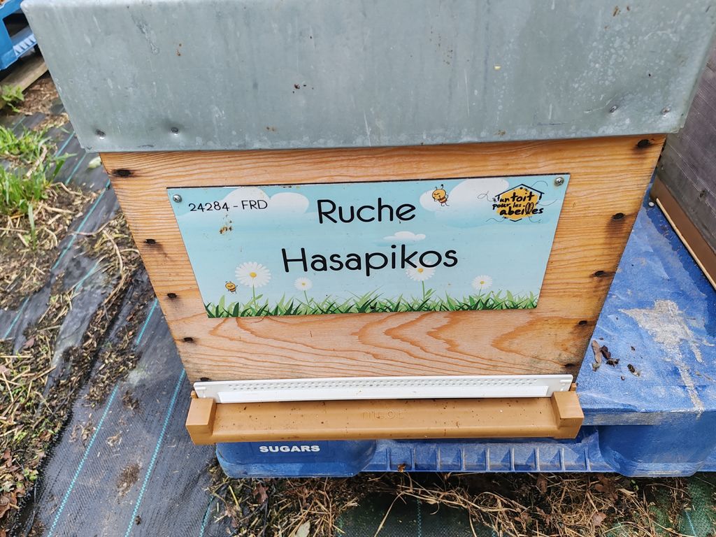La ruche Hasapikos