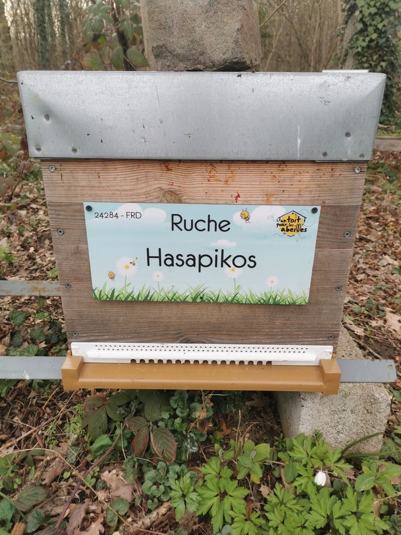 La ruche Hasapikos