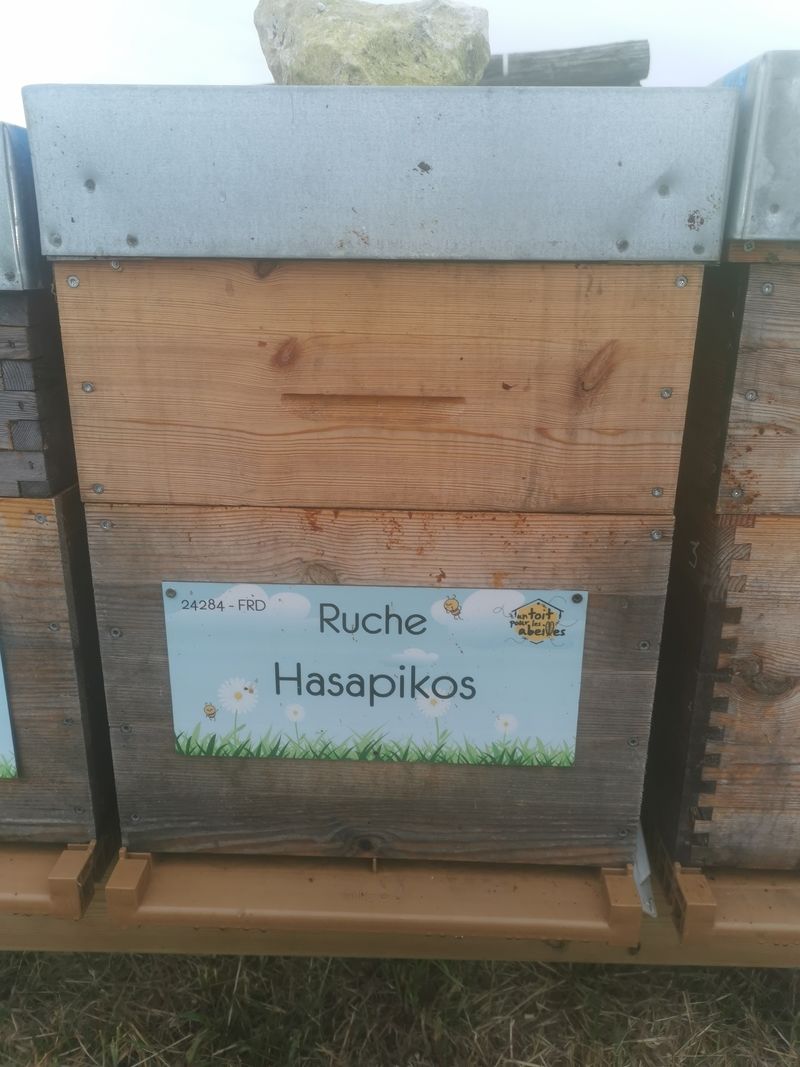 La ruche Hasapikos