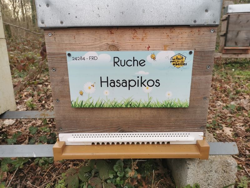 La ruche Hasapikos