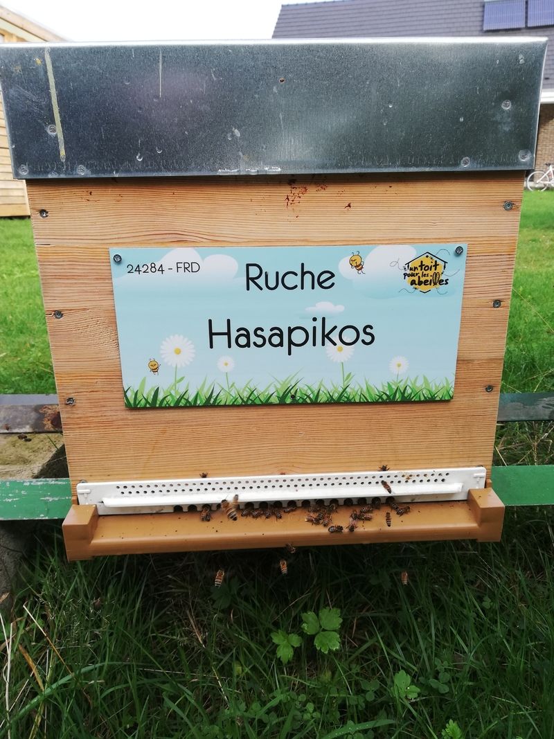 La ruche Hasapikos