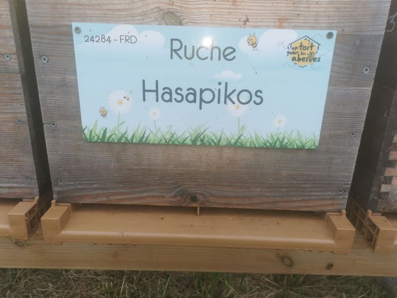 La ruche Hasapikos
