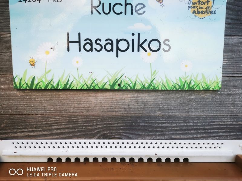 La ruche Hasapikos