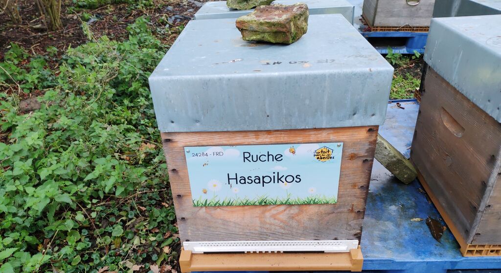 La ruche Hasapikos