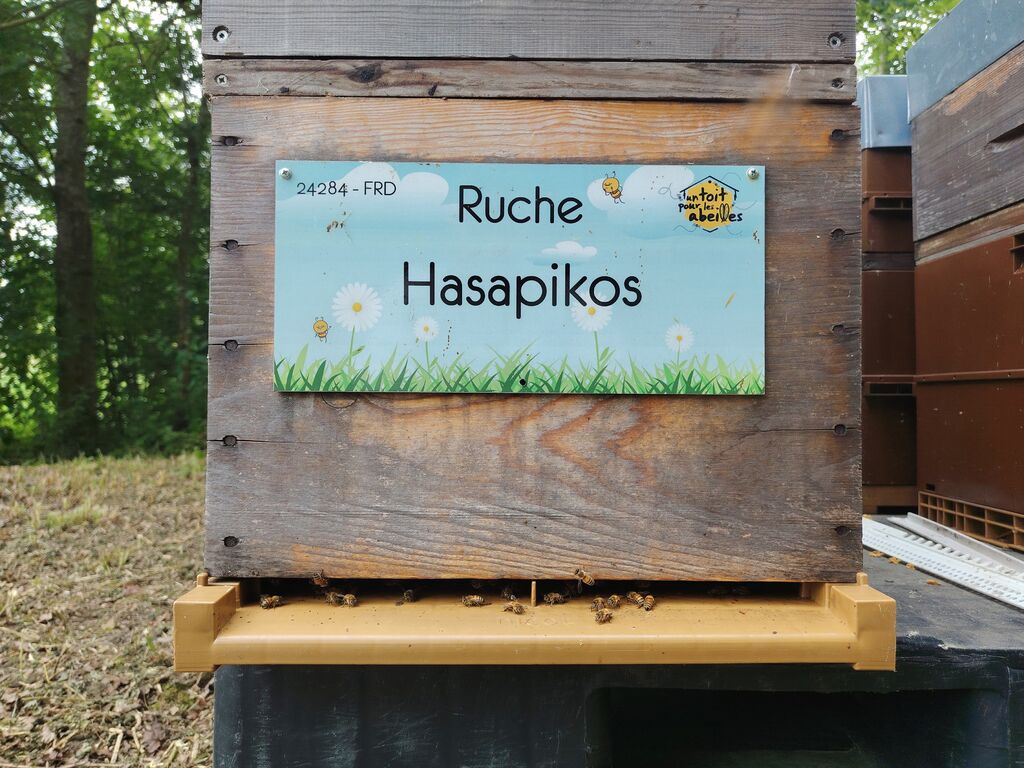 La ruche Hasapikos