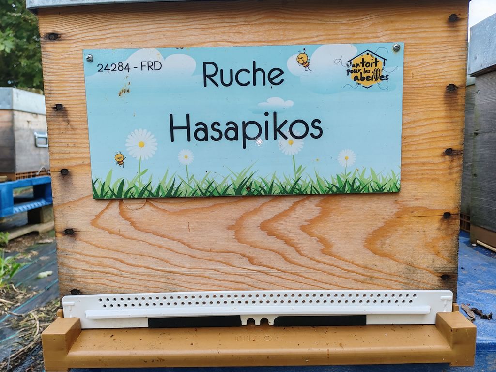 La ruche Hasapikos