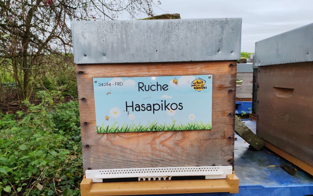 La ruche Hasapikos