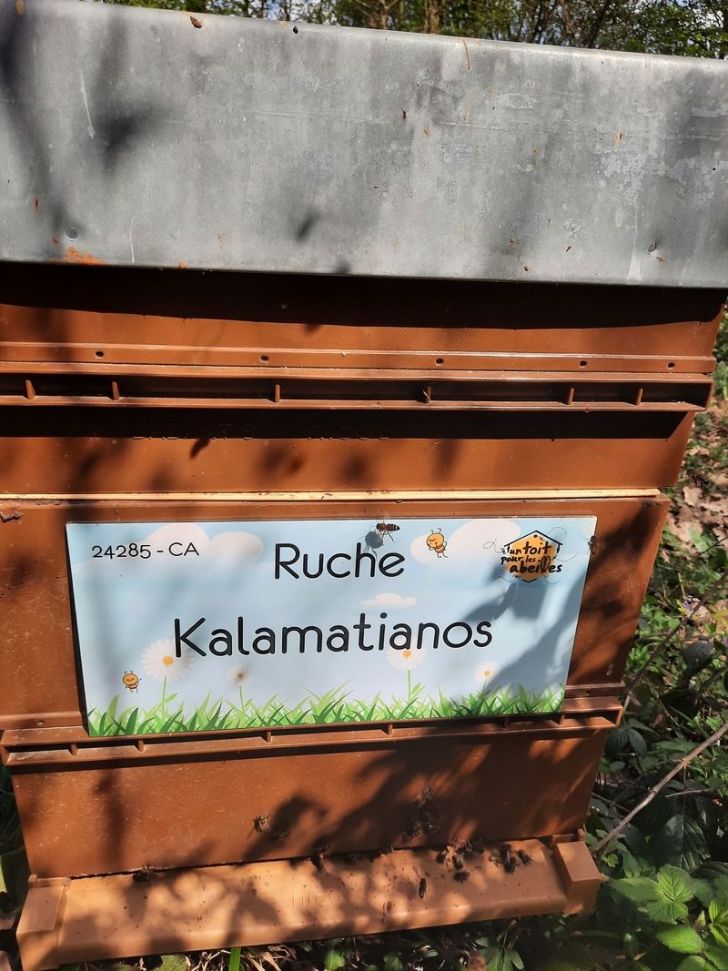 La ruche Kalamatianos