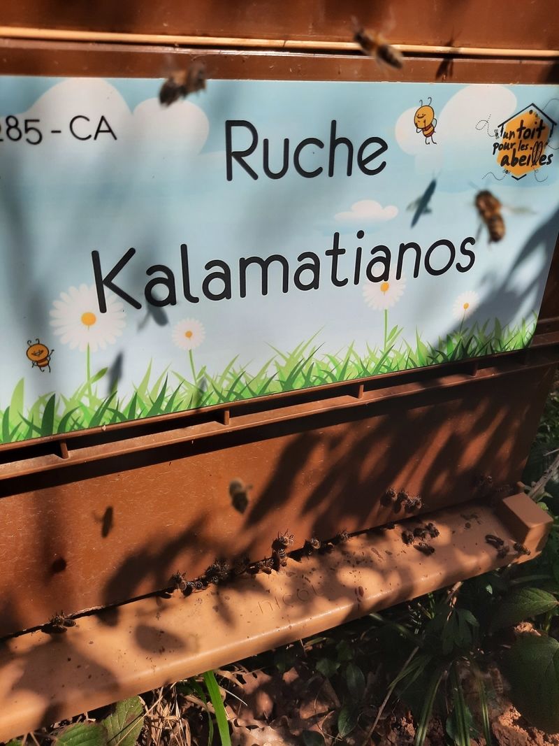 La ruche Kalamatianos