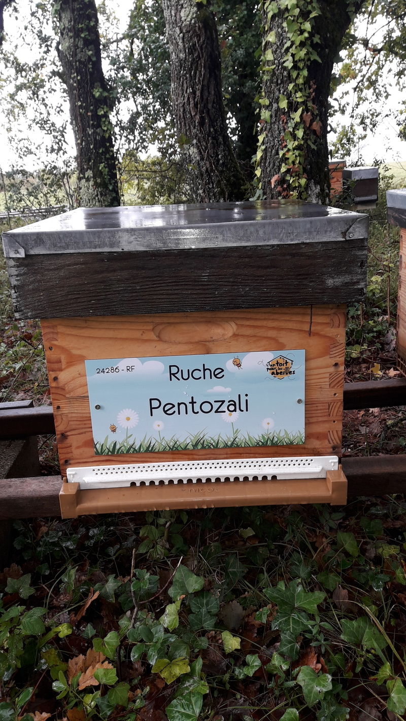La ruche