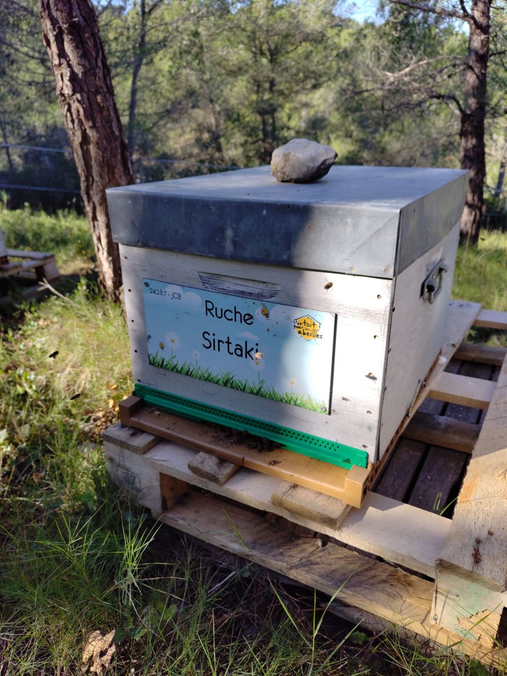 La ruche Sirtaki