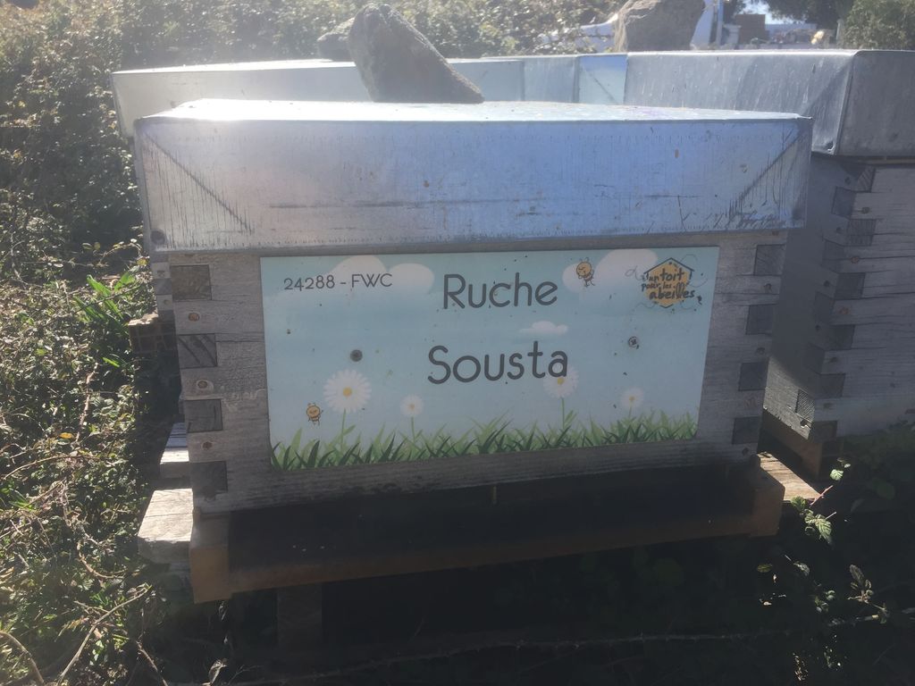 La ruche Sousta