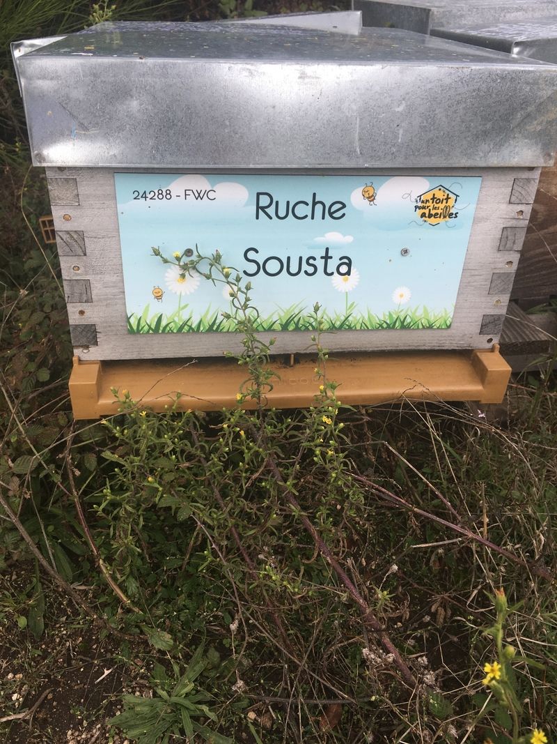 La ruche Sousta