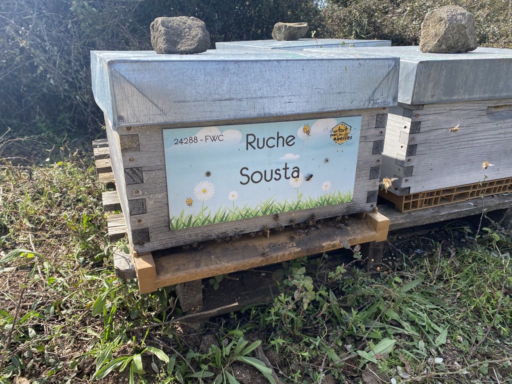 La ruche Sousta