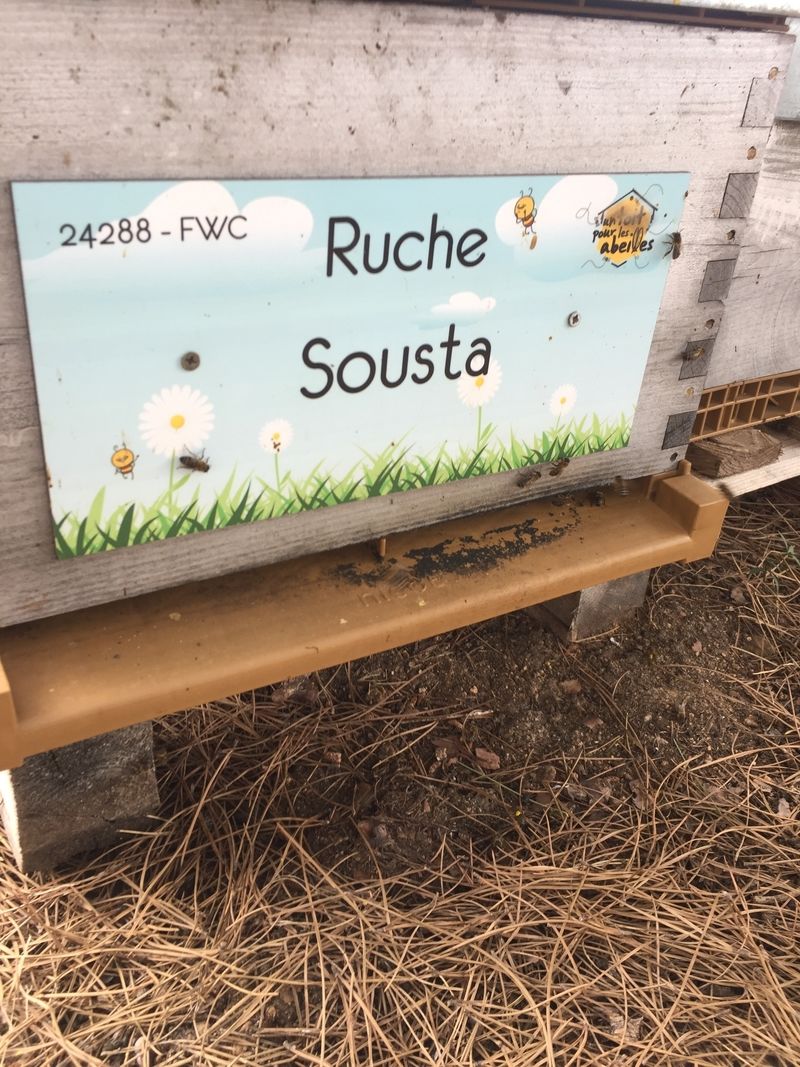 La ruche Sousta